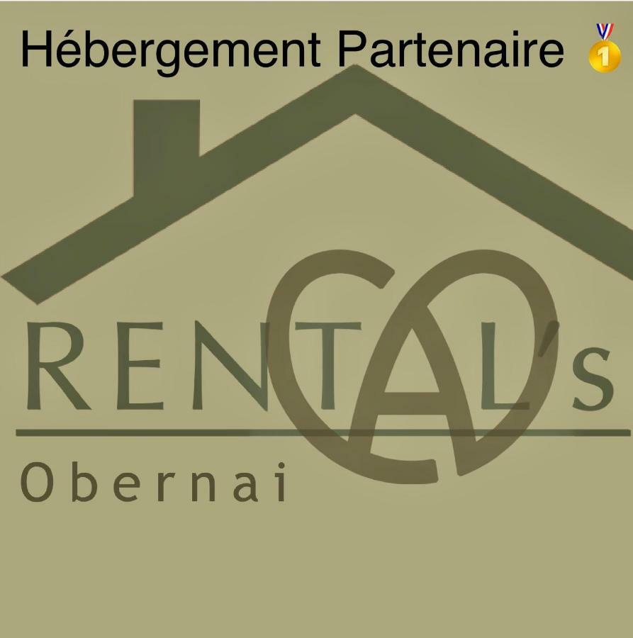 Appartamento Le Relais D Obernai Esterno foto